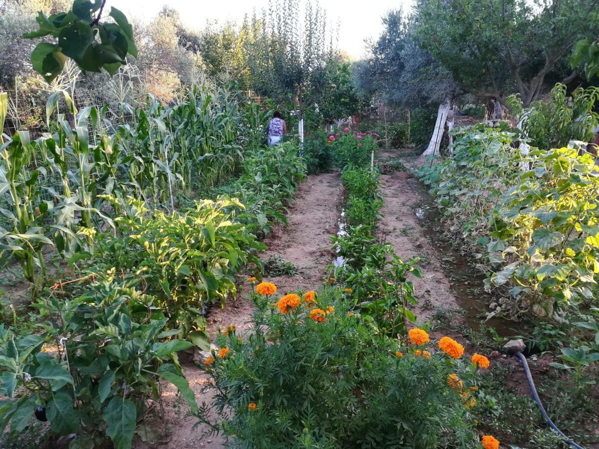 Bio Garden Stonehouse Vila Gonia Exterior foto